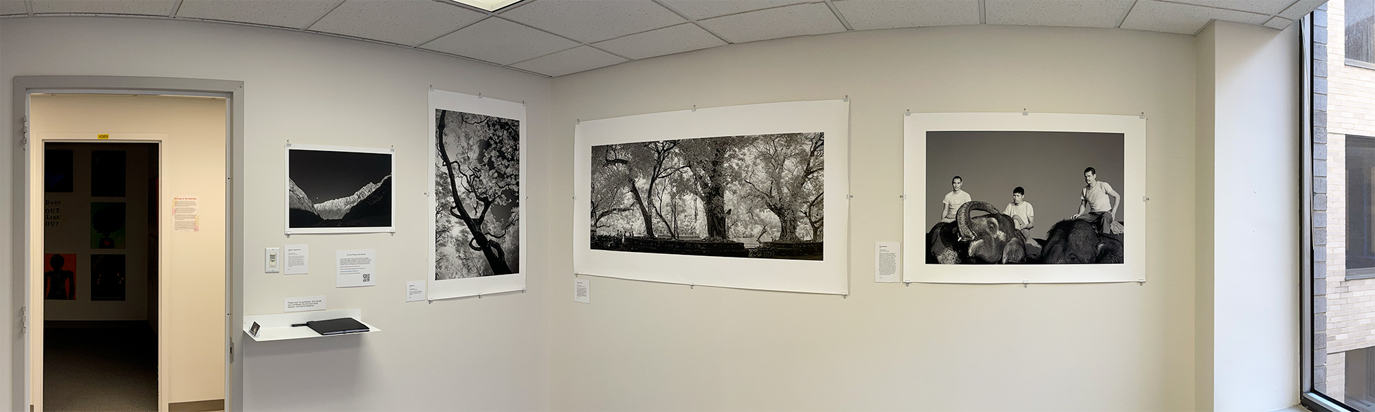 Small Installation of Large Infrared Photos.